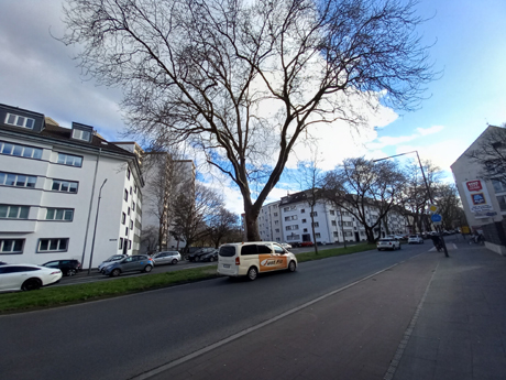 Koeln Zollstock